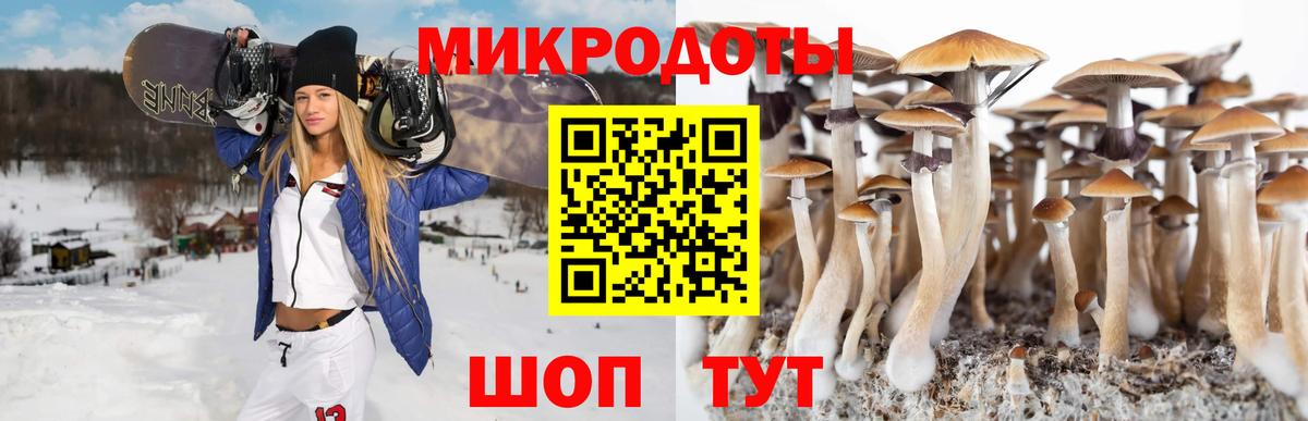 Галлюциногенные грибы Psilocybine cubensis Старая Купавна